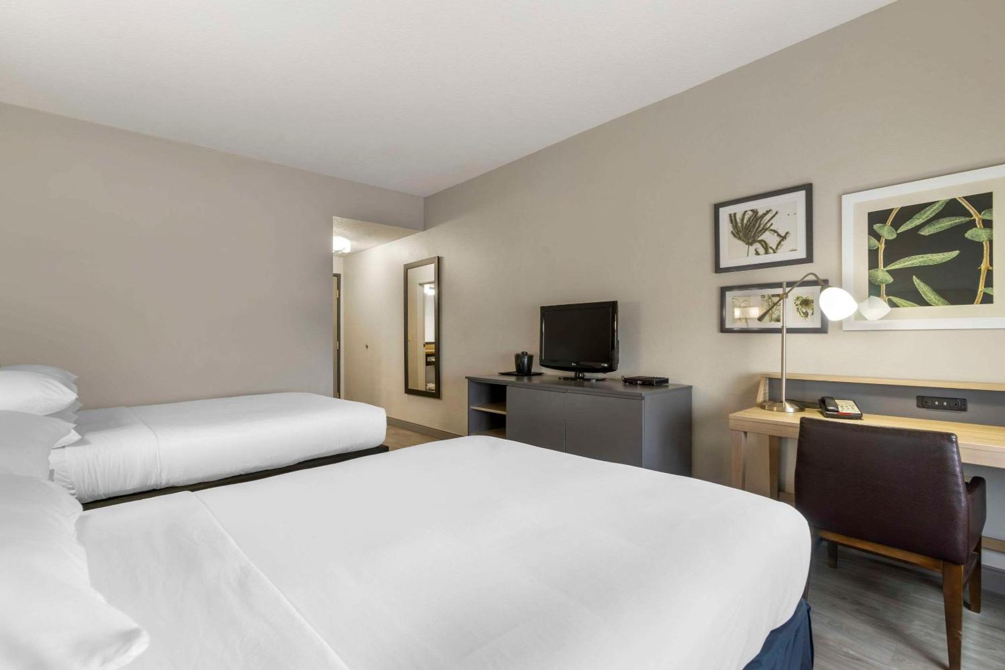 West Chase Country Inn & Suites By Radisson, Tampa Airport North, Fl מראה חיצוני תמונה